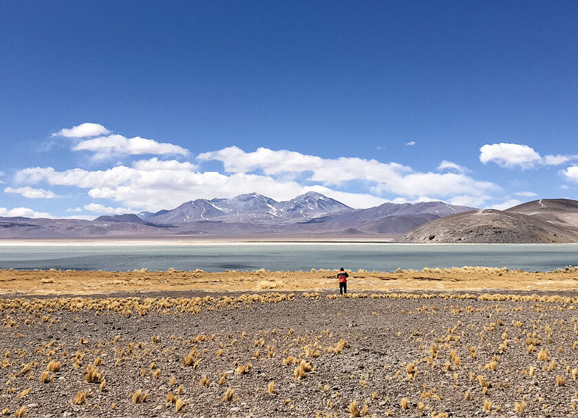 Superficial water sampling at Lobo Marte, Atacama, Chile. Photo: SRK
