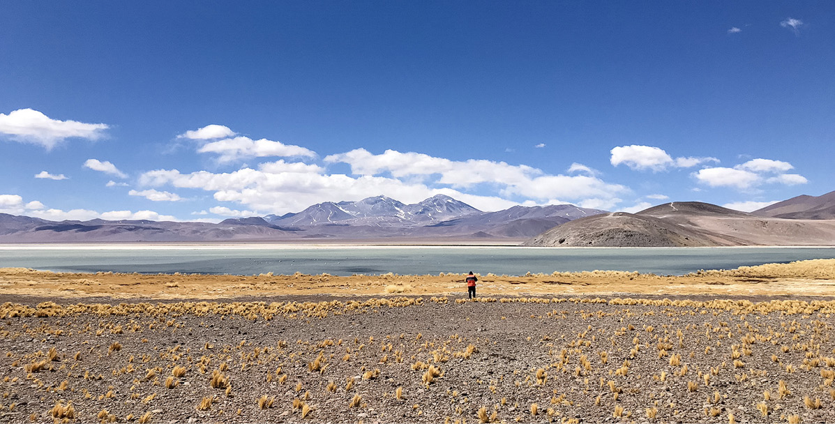 Superficial water sampling at Lobo Marte, Atacama, Chile. Photo: SRK