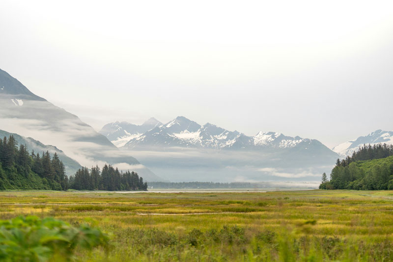 vadym-shashkov-grassy-field-with-mountains
